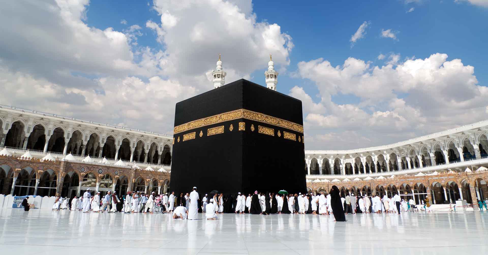 Roza image